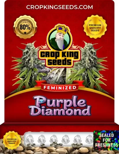 purple-diamond-image