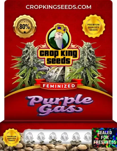 purple-gas-image