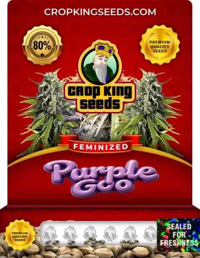purple-goo-image