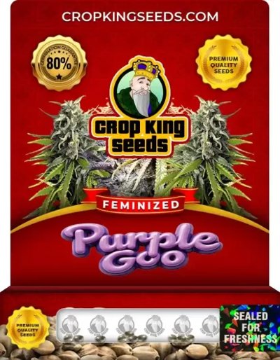 Purple Goo