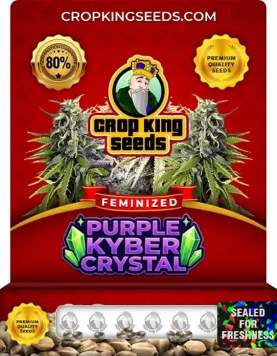 Purple Kyber Crystal