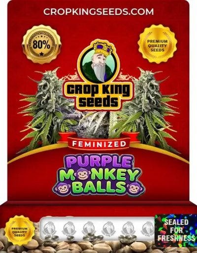 Purple Monkey Balls