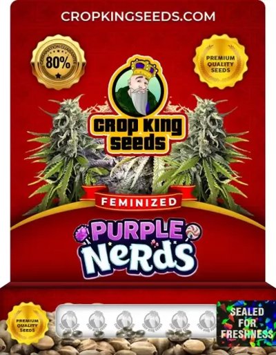 Purple Nerds