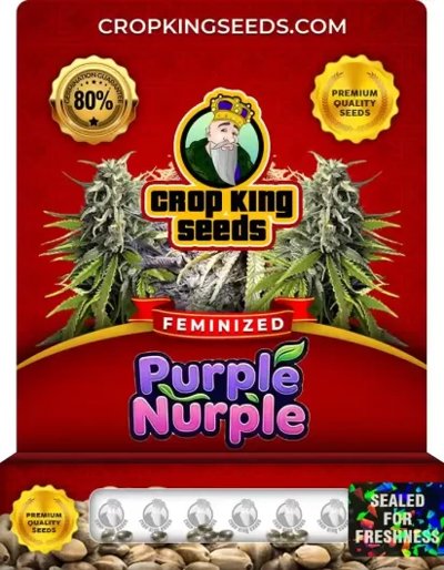 Purple Nurple