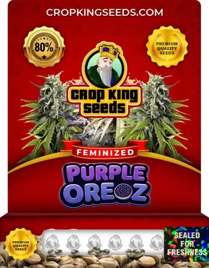 purple-oreoz-image