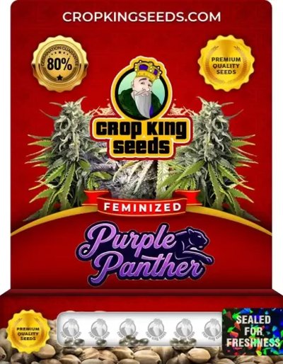 Purple Panther