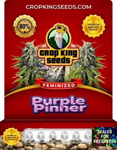 Purple Pinner