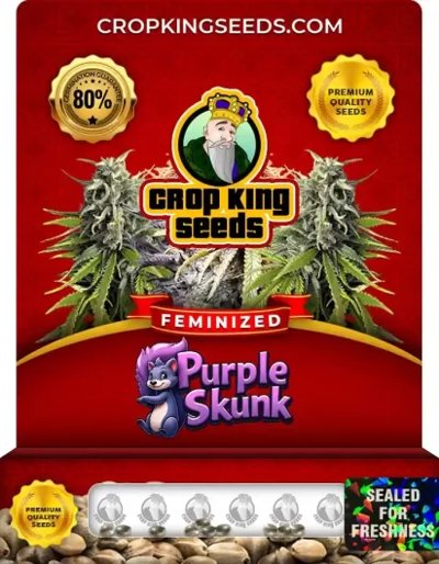 Purple Skunk