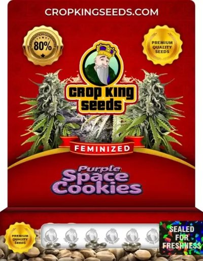 Purple Space Cookies