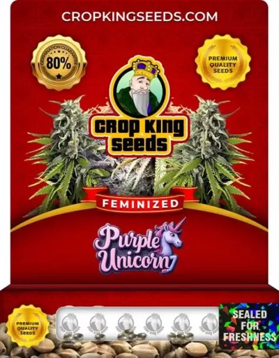 Purple Unicorn