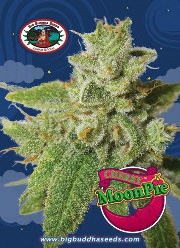 cherry-moon-pie-image