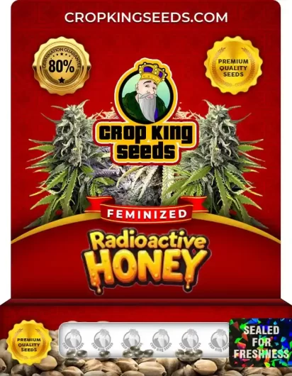 radioactive-honey-image
