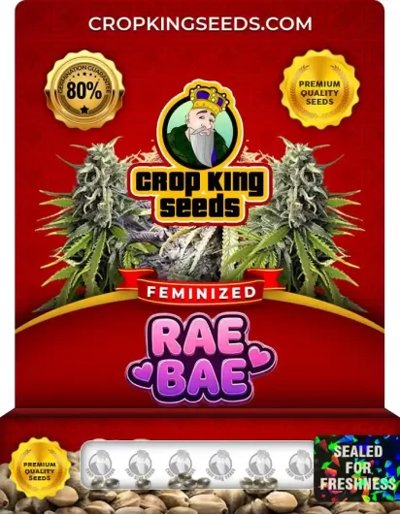 Rae Bae