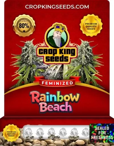 Rainbow Beach