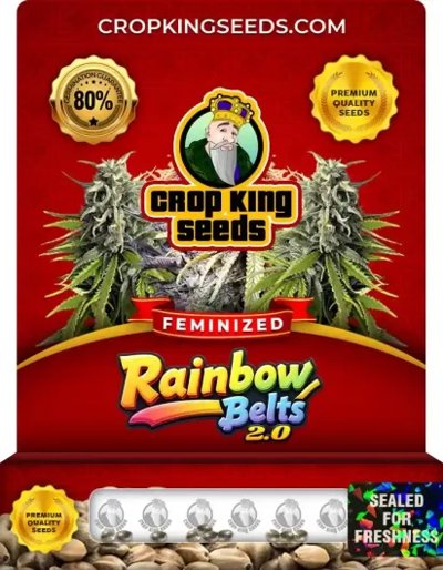Rainbow Belts 2.0