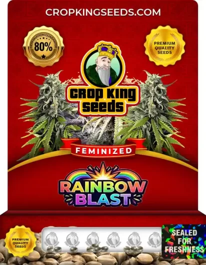rainbow-blast-image