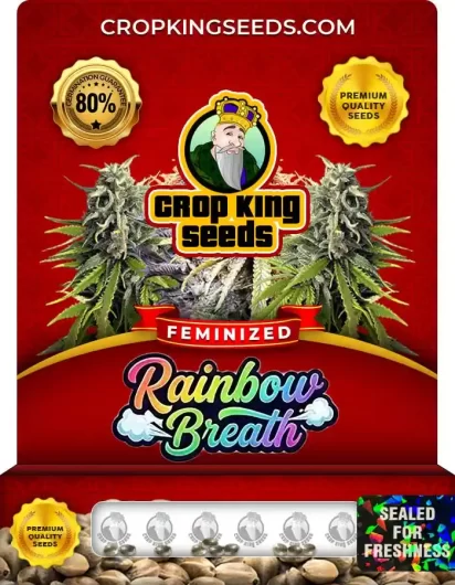 rainbow-breath-image