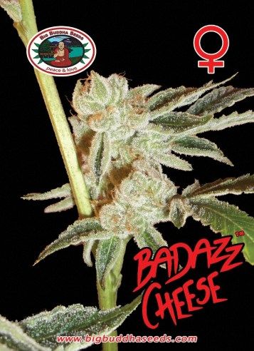 badazz-cheese-image