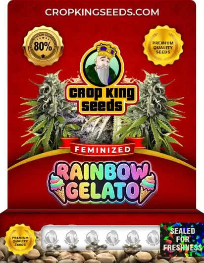 rainbow-gelato-image