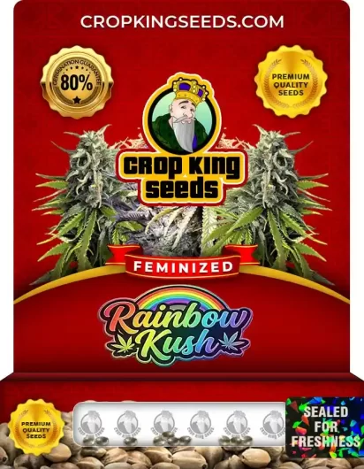 rainbow-kush-image