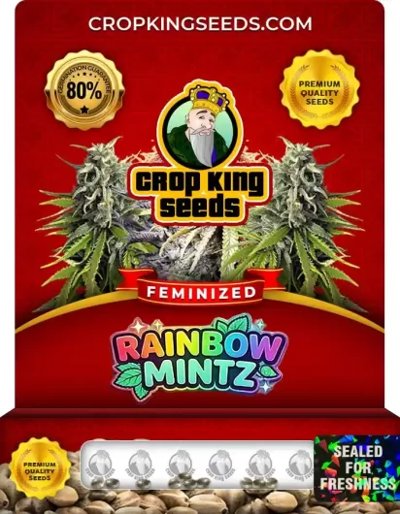 Rainbow Mintz