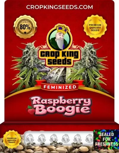 Raspberry Boogie