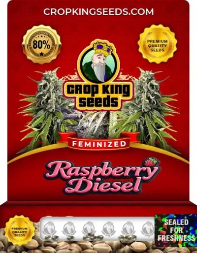 Raspberry Diesel