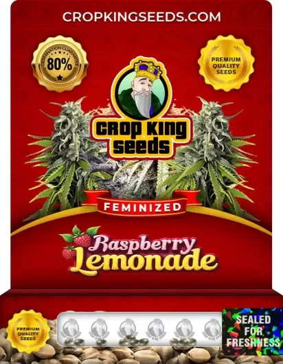 raspberry-lemonade-image