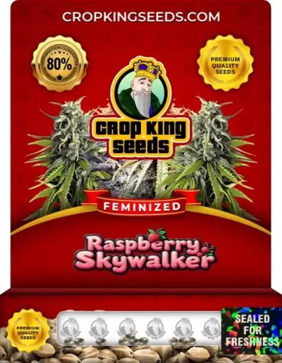 Raspberry Skywalker