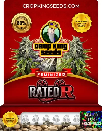 rated-r-image