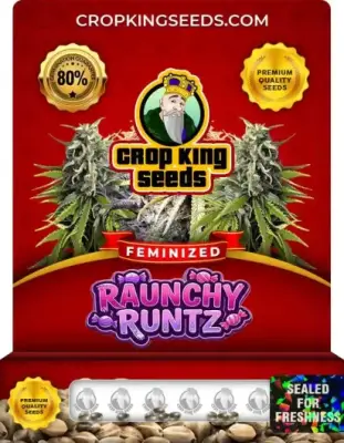 Raunchy Runtz