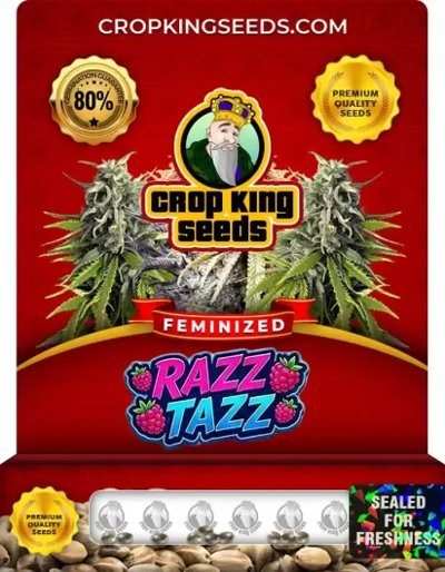 Razz Tazz