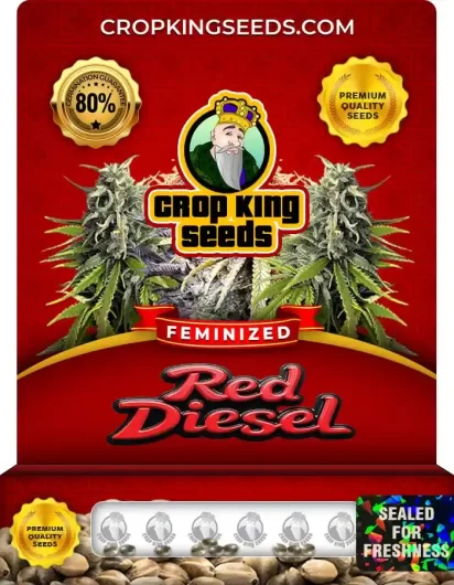 red-diesel-image