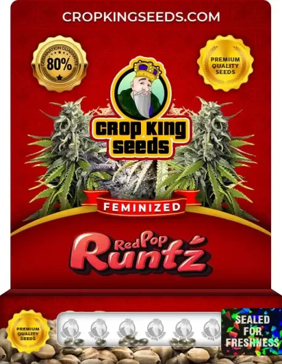 red-pop-runtz-image