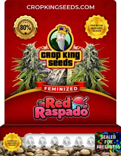 red-raspado-image