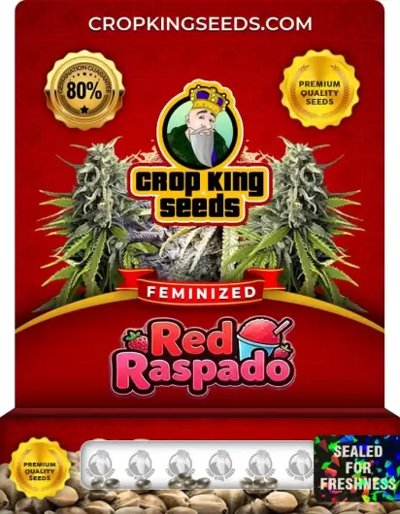 Red Raspado