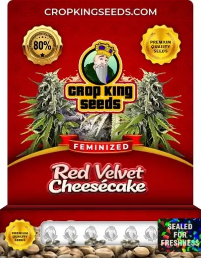 Red Velvet Cheesecake