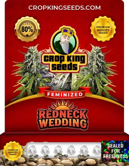 redneck-wedding-image