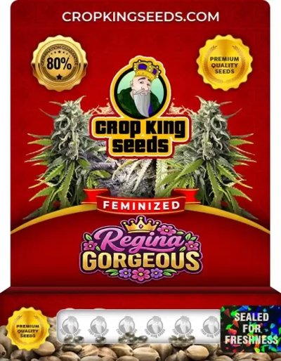 Regina Gorgeous