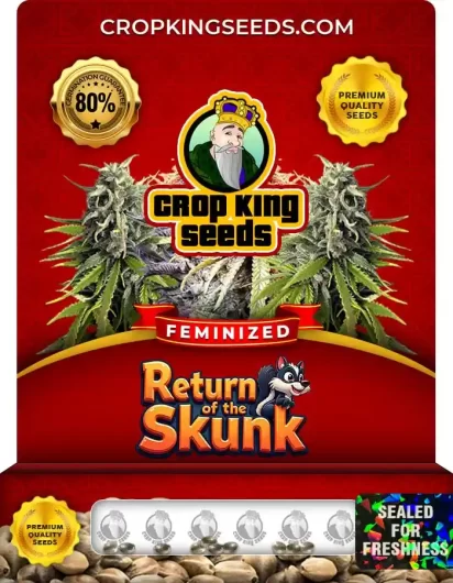 return-of-the-skunk-image