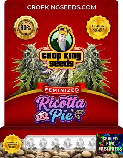 ricotta-pie-image