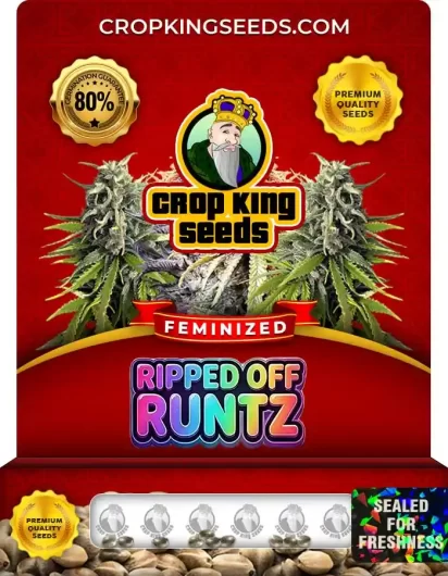 ripped-off-runtz-image