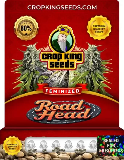 road-head-image