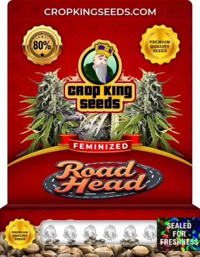 Road Head