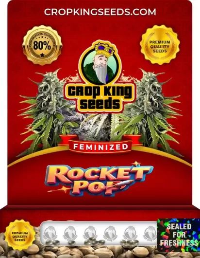 rocket-pop-image