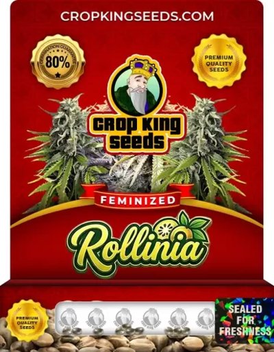 Rollinia