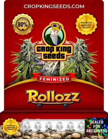 rollozz-image