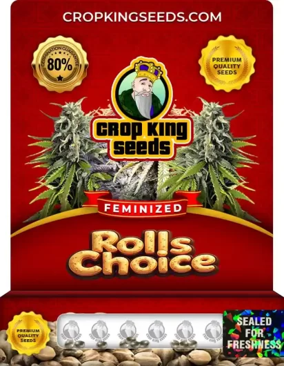 rolls-choice-image