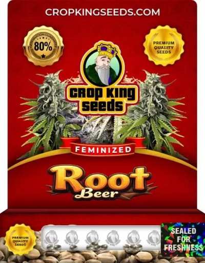 Root Beer