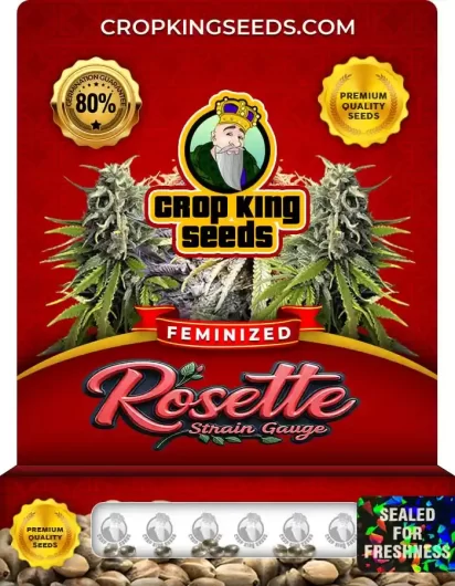 rosette-gauge-image